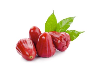 Beyaz arkaplanda yalıtılmış gül elmaları veya chomphu