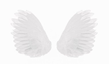 Beyaz kanat üzerinde beyaz izole