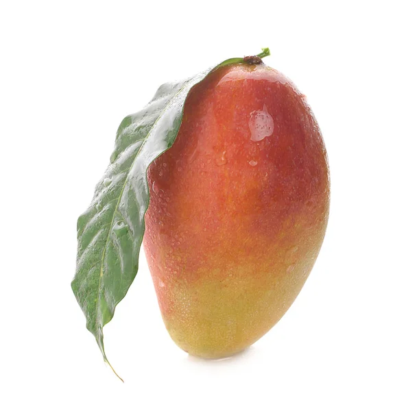 Mango Aislado Sobre Fondo Blanco — Foto de Stock
