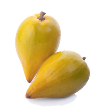 Beyaz arka planda yumurta meyvesi, Canistel, Sarı Sapote (Pouteria campechiana (Kunth) Baehni)