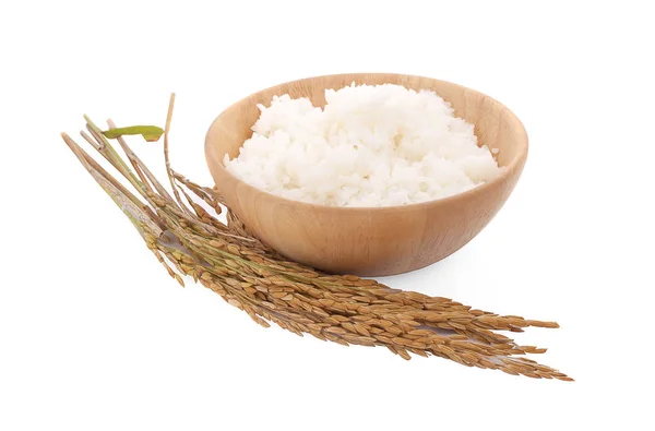 Ryż Paddy Izolowany Białym Tle — Zdjęcie stockowe