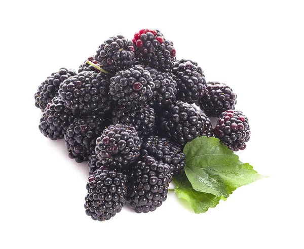 Ripe Blackberry Απομονωμένο Λευκό Φόντο Μονοπάτι Απόληξης — Φωτογραφία Αρχείου