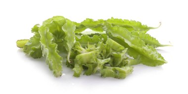 Kanatlı beyaz arka plan üzerinde izole fasulye. (Psophocarpus tetragonolobus)