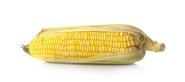 Corn Isolated White Background — Stock Photo, Image