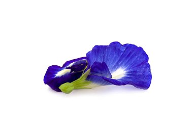 Kırpma yolu ile beyaz arka plan üzerinde izole bezelye çiçek.