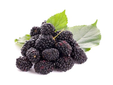 Olgun Blackberry kırpma yolu ile beyaz arkaplan izole.