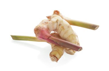 Beyaz arkaplanda izole edilmiş taze galangal.