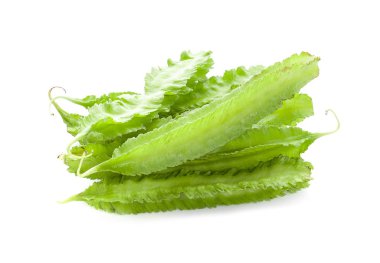 Kanatlı beyaz arka plan üzerinde izole fasulye. (Psophocarpus tetragonolobus)