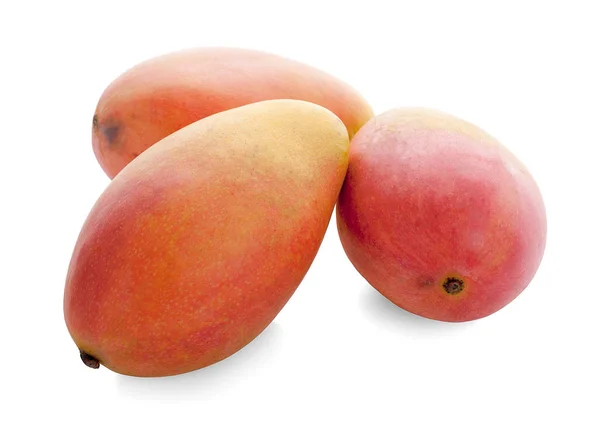 Mango Sobre Fondo Blanco — Foto de Stock