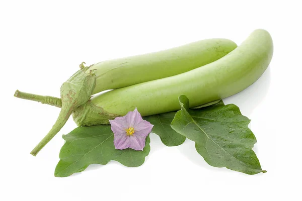 Aubergine Aubergine Verse Groenten Witte Achtergrond — Stockfoto
