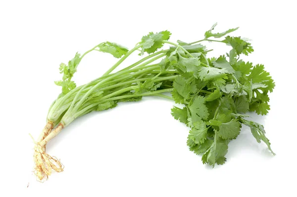 Hojas Cilantro Verde Aisladas Sobre Fondo Blanco Esto Tiene Camino — Foto de Stock