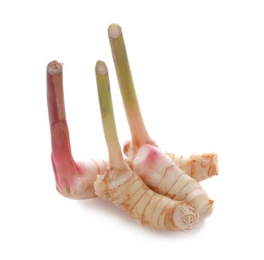 Beyaz arkaplanda izole edilmiş taze galangal.
