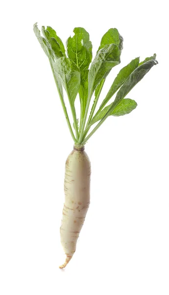 Daikon Radijsjes Geïsoleerd Witte Achtergrond — Stockfoto