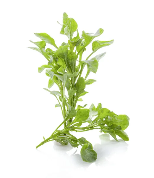 Watercress Isolated White Background — Stock Photo, Image