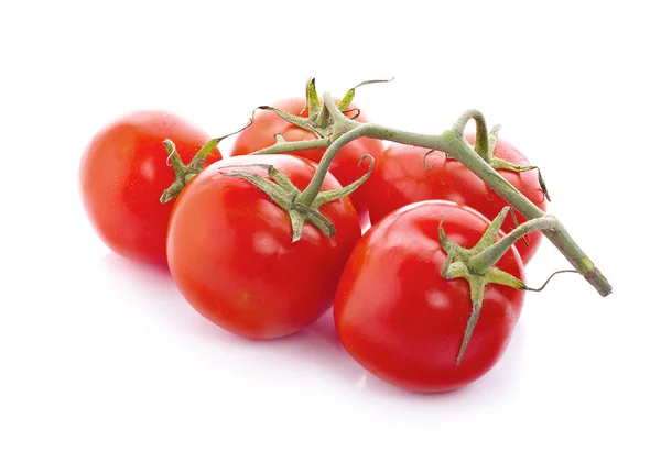 Pomidory Odizolowane Białym — Zdjęcie stockowe