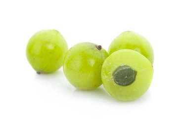 taze makhampom beyaz izole