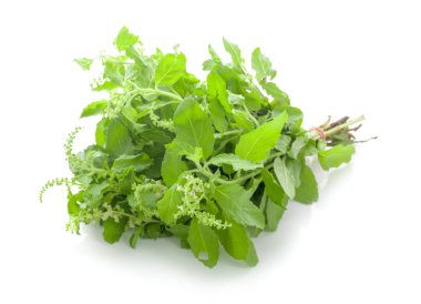 beyaz zemin üzerine kutsal fesleğen