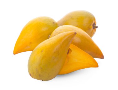 Beyaz arka planda yumurta meyvesi, Canistel, Sarı Sapote (Pouteria campechiana (Kunth) Baehni)