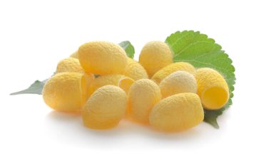 Sarı Tayland ipek böceği kozaları beyaz arka planda izole edilmiş..