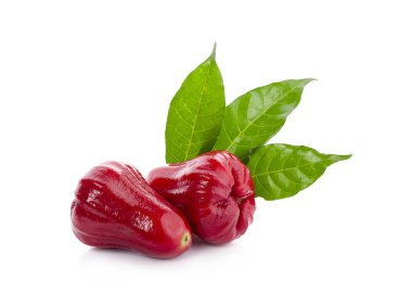 Beyaz arkaplanda gül elmaları izole.