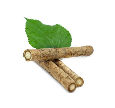Beyaz arkaplanda izole edilmiş burdock kökleri.