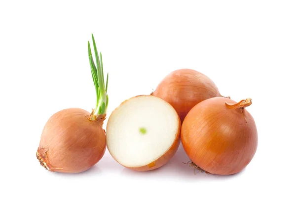 Fresh Onion Isolated White Background — Stock Photo, Image