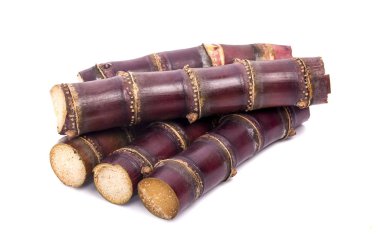 Beyaz arkaplanda izole şeker kamışı 