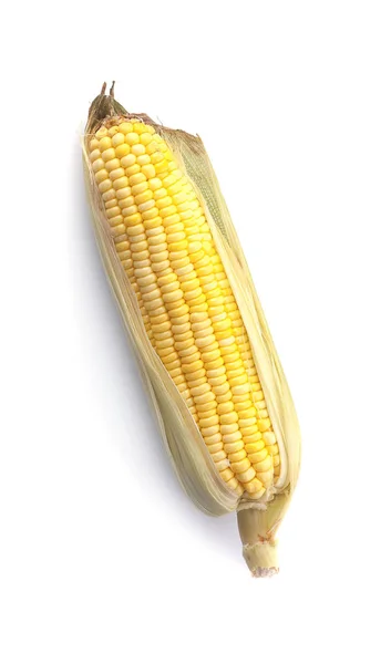 Свежий Кукурузный Початок Изолированный Белый — стоковое фото