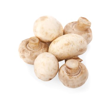 Şampiyon Mantarı beyaz arkaplanda izole edildi 