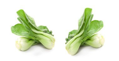 Bok choy sebzesi beyaz arkaplanda izole.
