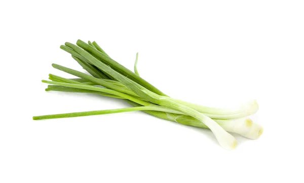 Grüne Zwiebel Isoliert Auf Weißem Hintergrund — Stockfoto