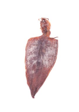 Beyaz arkaplanda kurumuş mürekkep balığı