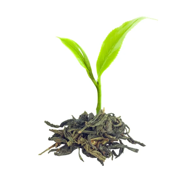 Beyaz Arkaplanda Izole Çay Yaprağı — Stok fotoğraf