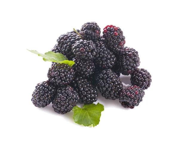 白色背景下的成熟黑莓 剪枝路径 — 图库照片