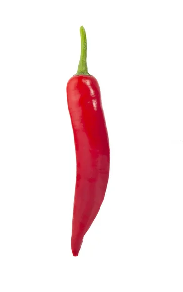 Chili Pepper Izolovaných Bílém Pozadí Ořezová Cesta — Stock fotografie