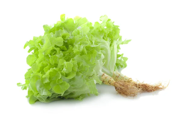 Fresh Green Lettuce Leaves Isolated White — Stock Photo, Image