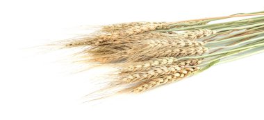 Buğday yulaf üzerinde izole bir beyaz