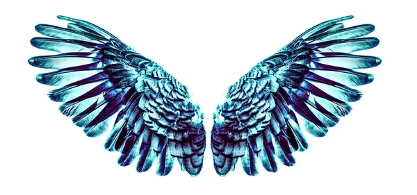 Крылья Ангела Изолированы Белом — стоковое фото