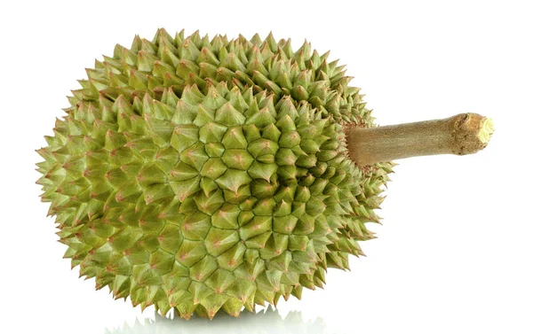 Yeşil durian beyaz arka plan üzerinde izole kapatmak.