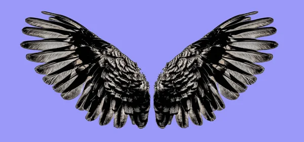 Engel Vleugels Een Geïsoleerde Paarse Achtergrond — Stockfoto