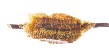 Beyaz arka plan üzerinde izole tatlı bal arısı ile dalı arı sürüsü kovan doğadan izole / tam yuva arı kovanı vahşi petek petek