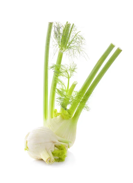 Fennel Diisolasi Pada Latar Belakang Putih — Stok Foto