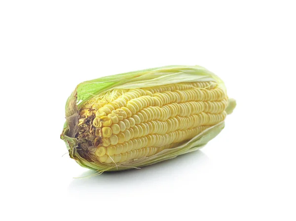 Single Ear Corn Isolated White Background — Stock Photo, Image