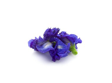 Taze kelebek bezelye, beyaz arka plan üzerinde izole bezelye çiçekler 