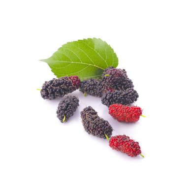 Dut beyaz arkaplanda izole edilmiş