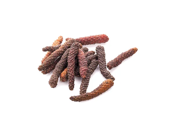 Long pepper or Piper longum isolated on white background — Stock Photo, Image