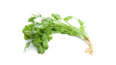 Yeşil kişniş izole üzerinde beyaz arka plan bırakır. Bu cl vardır