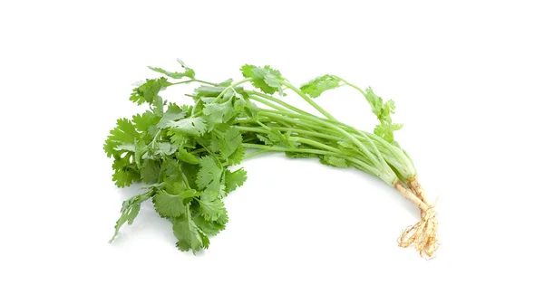 Hojas de cilantro verde aisladas sobre fondo blanco. Esto tiene cl — Foto de Stock