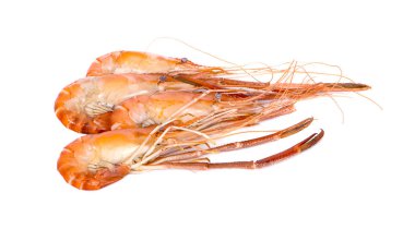 Beyaz arka plan üzerinde yanmış karides