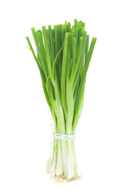 green onion isolated on white background clipart